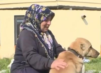 سگی که جان یک خانواده را در زلزله ترکیه نجات داد
