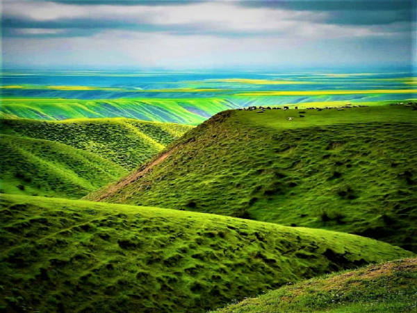 ترکمن صحرا گوهری نهفته در شمال شرقی ایران